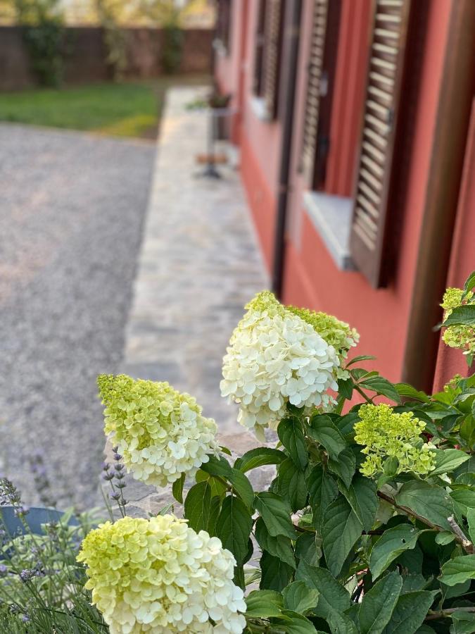 Il Mallo Verde - Lake Como B&B 曼代洛-德尔拉里奥 外观 照片