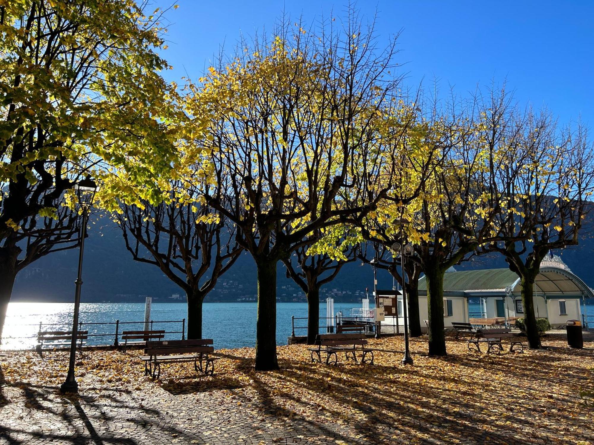 Il Mallo Verde - Lake Como B&B 曼代洛-德尔拉里奥 外观 照片