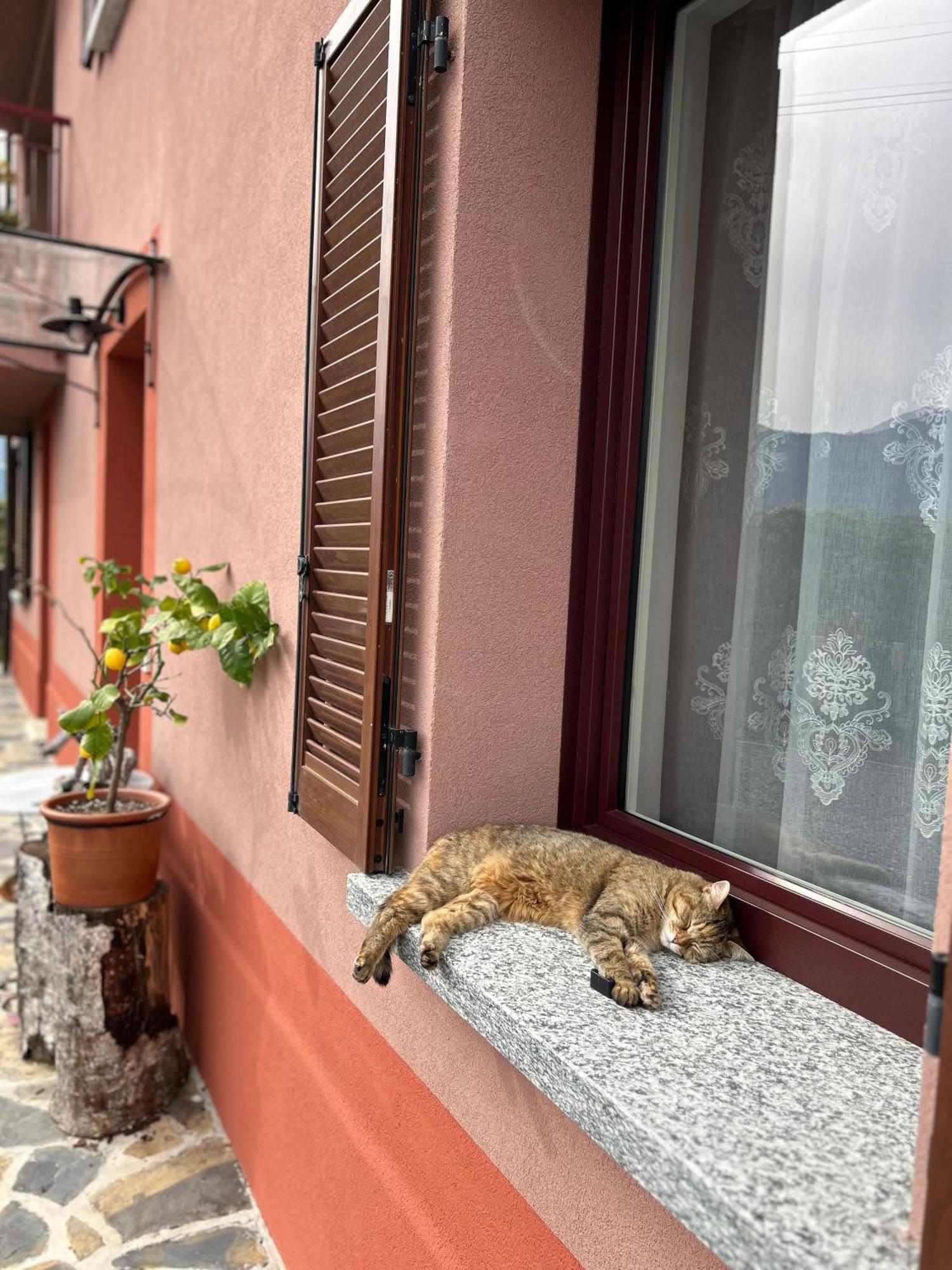 Il Mallo Verde - Lake Como B&B 曼代洛-德尔拉里奥 外观 照片